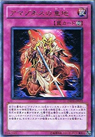Amazon.co.jp: 遊戯王 DREV-JP072-R 《アマゾネスの意地》 Rare : ホビー